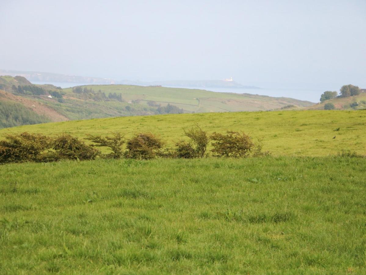 Ballyvoreen Glandore Exterior foto